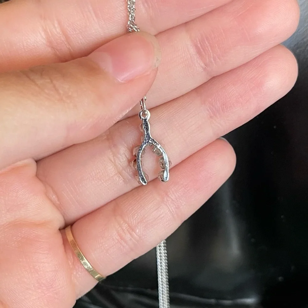 Sterling silver horseshoe cz stone necklace